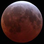 While most of the sunlight is indeed blocked. Blood Moon Prophecy Wikipedia
