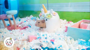 Pin By Jessica Geck On Pets Ideas Hamster Diy Cage Hamster Diy Hamster Cage