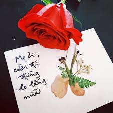 Bông hồng cài áo (**) dương thụ; Stream Bong Há»ng Cai Ao A Rose For Your Pocket By An Yen Yen Truong Listen Online For Free On Soundcloud