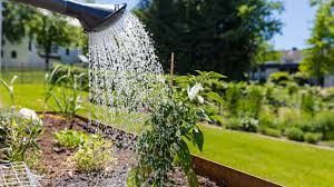 (basierend auf total visits weltweit, quelle: Giessen Im Sommer Das Sollten Sie Beachten Gartenbau Landschaftsbau Kotter Galabau Soest Werl Lippstadt