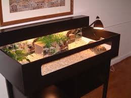Yes Dark Wood The Canopy This Is What I Will Use As A Starting Point For Tort Table Design Tortoise Table Tortoise House Tortoise Habitat