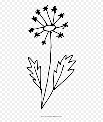 Your email address will not be published. Nice Dandelion Coloring Pages Page Ultra Line Art Free Transparent Png Clipart Images Download