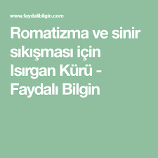 romatizma ve sinir sikismasi icin isirgan kuru bilgi saglik artrit