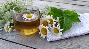 Teh chamomile menawarkan manfaat yang luar biasa bagi kesehatan. Teh Bunga Chamomile