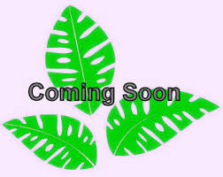 Image result for Pachylobus edulis