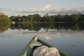 Image result for Afroqueta