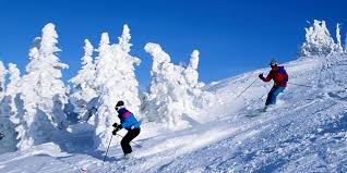 Image result for kullu images