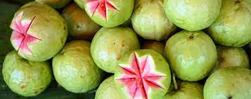I bought one a few years back, and it's not doing well. 5 Tropical Fruits That Grow In South Florida