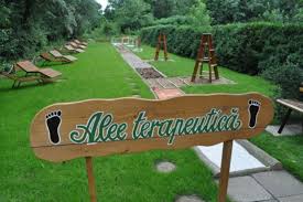 Inclusa in complexul muzeal stiintele naturii, gradina botanica domina malul stang al dunarii. GrÄdinÄ SenzorialÄ In Care Oamenii Pot PÄÈi DesculÈi Experimentand AdevÄrate Terapii De Relaxare Proiectul Este Unic In Romania