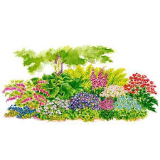 Stauden Sortiment Blutenpracht Im Schatten Online Kaufen Bei Gartner Potschke Blumenbeetanlegen Sortiment Blutenpracht Schattenpflanzen Garten Garten Stauden