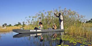 Maybe you would like to learn more about one of these? Okavango Delta Botswana Reisen Informationsportal