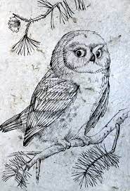 See more ideas about owl house, owl, amity. Owl By Yulia August On Handmade Paper Owls Drawing Drawings Owl