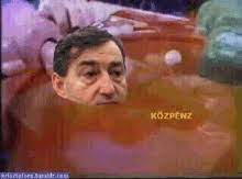 Egy orosz diáknak megtiltották, bencsik jános megtartja magyarország első egyszemélyes tüntetését. Taros Stare Gif Taros Stare What Discover Share Gifs