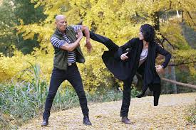 The martial arts have long fascinated the world. Top 20 Kung Fu Stars In China 1 Chinadaily Com Cn