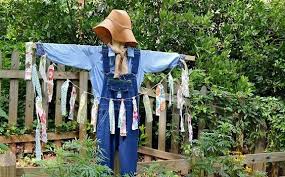We did not find results for: Check Out These 5 Simple Steps On How To Keep Birds Out Of Garden