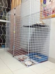 มาทำกรงแมว ก นเถอะ ฉบ บล ยเด ยว ทำเองง ายๆ งบประหย ด pantip วอลเปเปอร ไอเด ยงานฝ ม อ