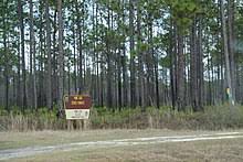 Maybe you would like to learn more about one of these? Florida State Forests Wikipedia