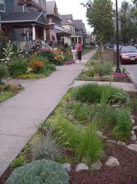 Hellstrips Planted With Grasses And Low Ground Covers Sidewalk Landscaping Low Water Landscaping Front Yard Landscaping