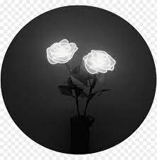 Maybe you would like to learn more about one of these? Tumblr Aesthetic Black Roses Rose White Rose Tumblr Aesthetic Png Image With Transparent Background Toppng