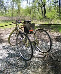 After choosing the island layout, timmy will ask you if you could only bring one thing to a deserted island, what would it be?. Tricycle Wikipedia