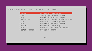 How To Log In To Recovery Mode In Ubuntu - Life On Network