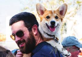 Eighty brewers to grace downtown during annual event