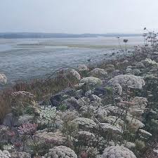 Arcata travel guide & arcata popular tourist attractions. Things To Do In Arcata California Ca The Best Nature Parks