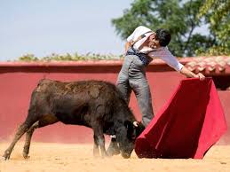 Al Toro México / Emilio de Justo, más cerca de su reaparición | Al Toro  México | Medio de comunicación taurino: Toros, Toreros, noticias y  actualidad taurinas