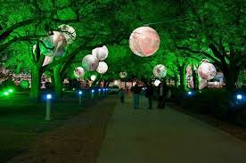 discovery green temporary art installation 灯光 夜光 感動