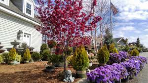 Maybe you would like to learn more about one of these? Garden Products Seoane Landscape Design Inc