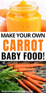 How To Make Carrot Baby Food Keep Calm And Mommy On Recipe Baby Food Recipes Baby Carrot Recipes Sweet Potato Baby Food