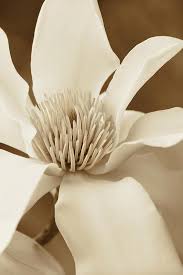 Pin On Beauty