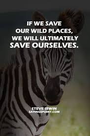  Save Wildlife Quotes Wildlife Quotes Save Wildlife Nature Quotes