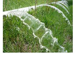 My dog loves them and they make his urine less acidic so it does not kill the grass in front of my apartment. 5 Ways To Stop Dog Urine Killing Grass My Pet Warehouse