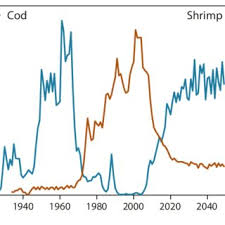 68/2014 privind modificarea si completarea unor acte normative publicata in monitorul oficial al. Pdf Fishes