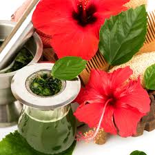 Hibiscus is a genus of flowering plants in the mallow family, malvaceae. 12 Amazing Ways To Use Hibiscus For Hair Kama Ayurveda