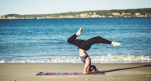 Yoga shopping music and video. Daily Yoga A Global Yoga Fitness And Cultural Brand
