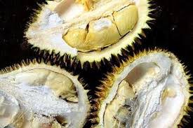 Caranya dengan menuang sedikit air hangat ke dalam cekungan jadi nggak perlu takut ya untuk makan durian. Mau Tahu Tips Hilangkan Aroma Durian Pejamkan Mata