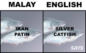 They take note of the intention contained in your letter. What S Ikan Patin In English Here Are 17 Translations Of Fish Malaysians Love