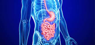 We did not find results for: Maladie De Crohn Qu Est Ce Que C Est Fiches Sante Et Conseils Medicaux