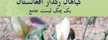 Image result for Kyllinga merxmuelleri