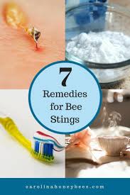 Pin On Beekeeping Tips And Tricks