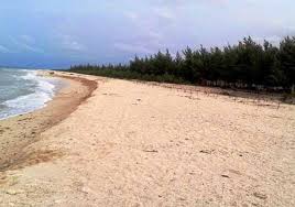 Make microsoft edge default / 如何更改microsoft edge来搜索google而不是bing | mos86 : Pantai Karang Jahe Rembang Wisata Bahari Dengan 1000 Pohon Cemara