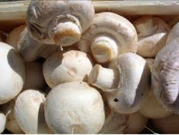 الله أكبر، الله أكبر، الله أكبر، الله أكبر، الله أكبر، الله اكبر، الله أكبر، الله أكبر، الله أكبر. Ù‡Ù„ Ø§Ù„ÙØ·Ø± Ø§Ù„Ù…Ø´Ø±ÙˆÙ… Ø°Ø§ØªÙŠ Ø§Ù„ØªØºØ°ÙŠØ© ÙÙ‡Ø±Ø³