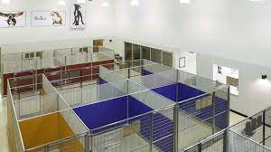 Luxury boarding, grooming, and daycare for your pet! Commercial Suite Paws Pet Resort And Spa Olive Architecture