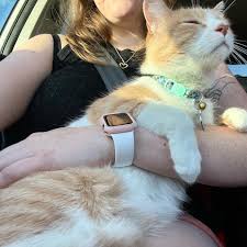 Gail Avey and Jose Leal's Wedding Registry