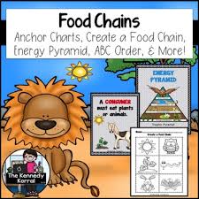 Coloring is a fun way to develop your creativity, your concentration and tons of free drawings to color in our collection of printable coloring pages! Food Chain Coloring Worksheets Teaching Resources Tpt