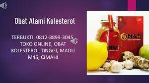 Asli 0812 8899 3045 Distributor Obat Kolesterol K24 Madu M45 Magetan Di 2021 Obat Alami Madu