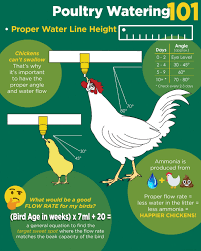 Take A Demo Of The Erp Solution For Manages Your Poultry Operations In 2020 Pet Chickens Poultry Management Poultry