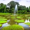 Tidak butuh biaya mahal untuk bisa memasuki kebun raya ini. Https Encrypted Tbn0 Gstatic Com Images Q Tbn And9gcteek1wejdyxpuafjmsb2ni8pn9g Fdkwi8vsiikomogzm0euaj Usqp Cau